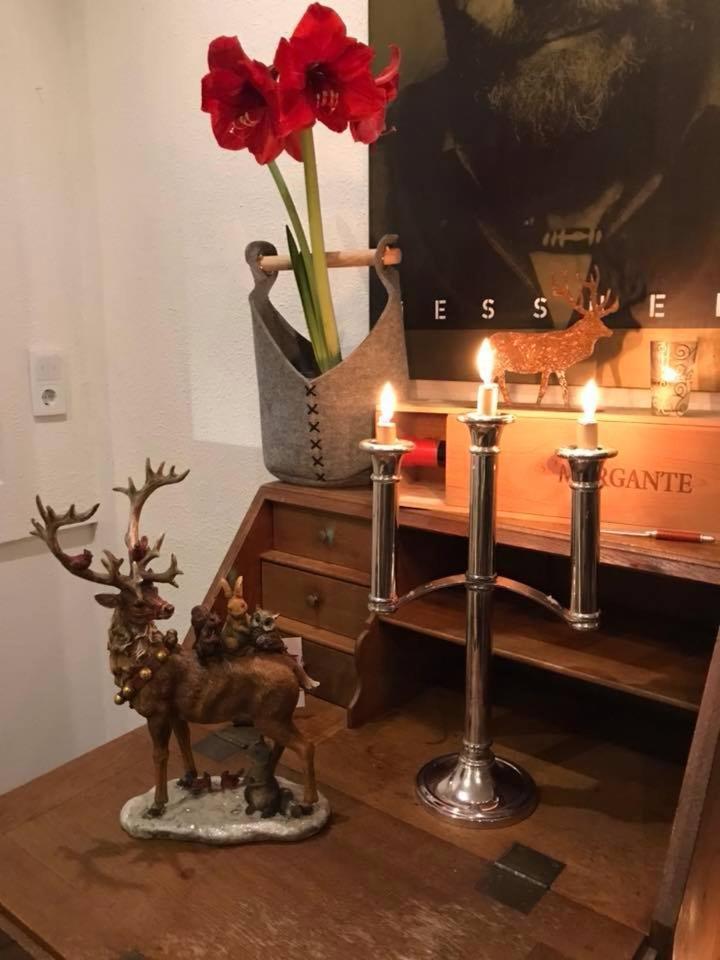 Das Kleine Landhotel 多斯滕 外观 照片